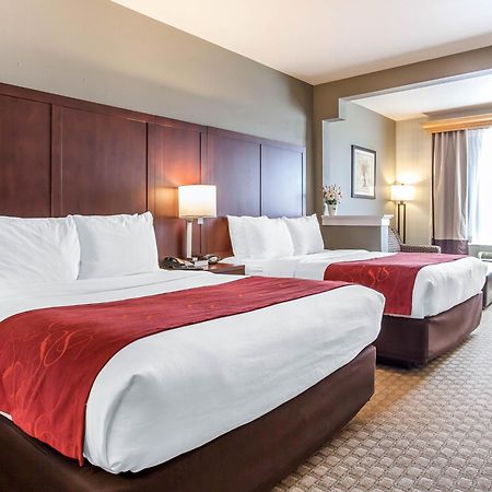 Comfort Suites Airport Tukwila Seattle Rum bild